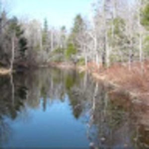 Meet your Posher, Luana